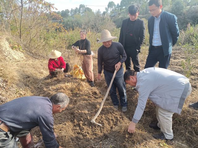 白沙镇珠林村外出取经深入田间地头学经验