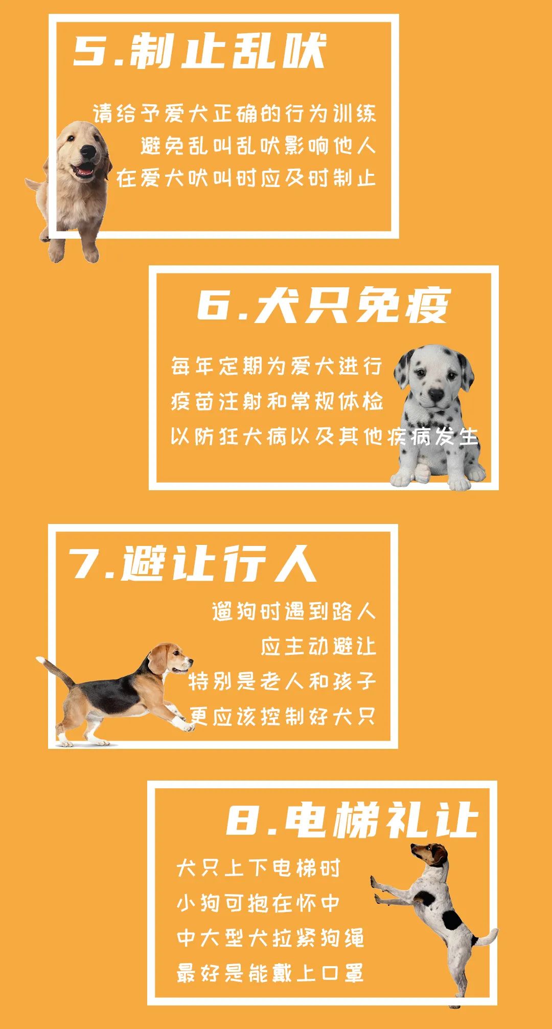 牵紧文明绳文明养犬不掉链