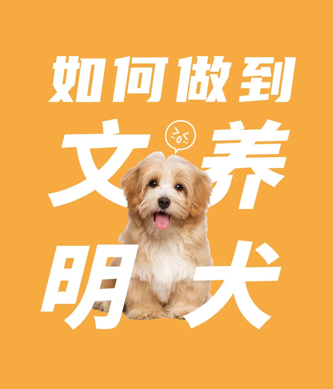 牵紧文明绳文明养犬不掉链