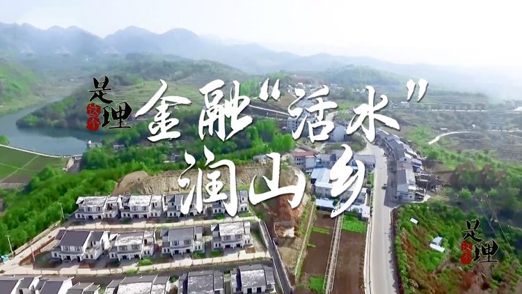 《是这个理》：金融“活水”润山乡