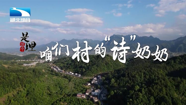 《是这个理》：咱们村的“诗奶奶”