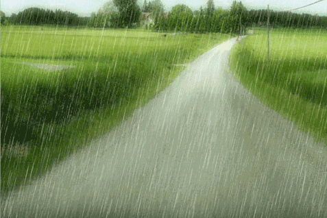 历史罕见湖北持续低温阴雨寡照天气连创纪录