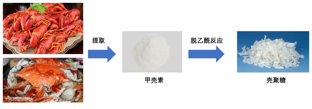 想不到水产人常扔掉的这些虾蟹壳有一天竟变成了衣服