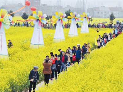 5万亩花田成片 蔡甸油菜花海引来法国游客