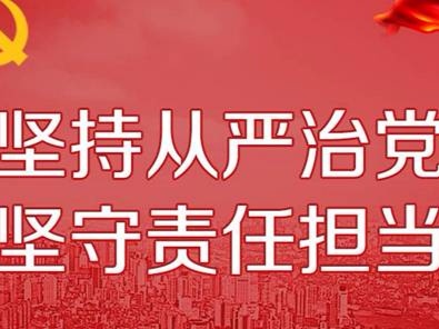 以习近平同志为总书记的党中央着眼于新的形势任务,把全面从严治党