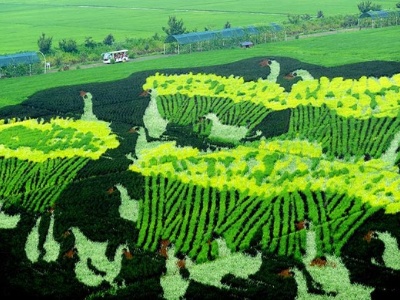 沈北新区:3d稻田画引领新农村发展