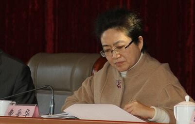 辽宁省大连市委常委,常务副市长曹爱华接受调查