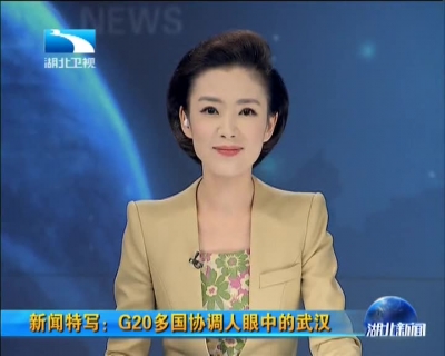 新闻特写：G20多国协调人眼中的武汉