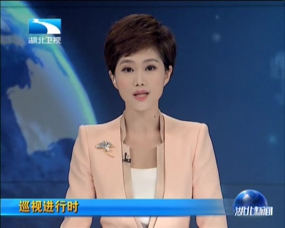 巡视进行时  省委巡视组进驻湖北红安干部学院及两所省属高校