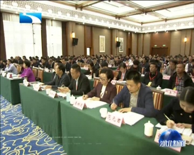 湖北大力推进“千企帮千村”行动提质增效