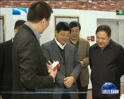 国家发改委副主任胡祖才带队 调研武汉国家中心城市建设情况