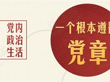 严肃党内政治生活 净化党内政治生态