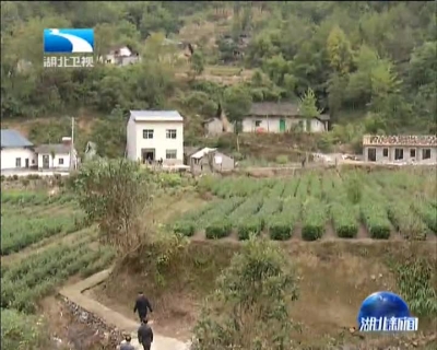 李春明赴秭归县开展脱贫攻坚督办调研