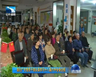 湖北党员干部学习十八届六中全会公报凝心聚力从严治党营造风清气正的政治生态
