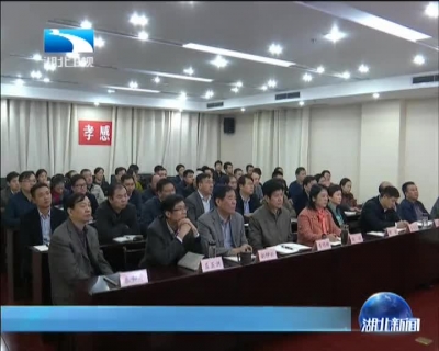 湖北广大党员干部认真学习十八届六中全会公报