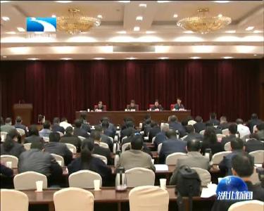 湖北省政府召开全省国土资源节约集约示范省创建工作推进电视电话会