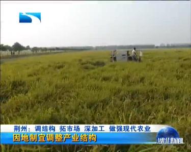 荆州：调结构 拓市场 深加工 做强现代农业