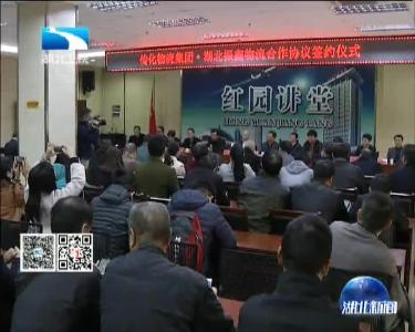 湖北首个公铁联运物流园落户红安