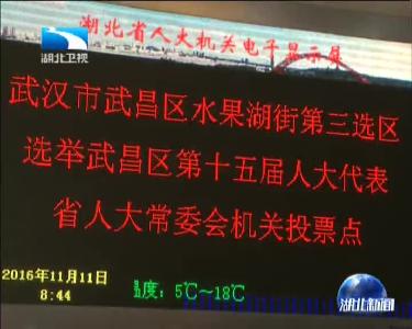 省人大常委会机关投票点：选民踊跃投票 选举武昌区人大代表