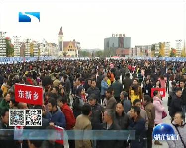 任振鹤强调：精准对接 畅通贫困人员就业脱贫之路