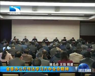湖北省委办公厅传达学习六中全会精神