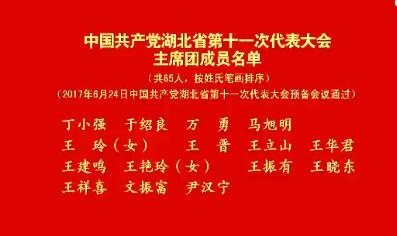 v视 | 中国共产党湖北省第十一次代表大会主席团成员名单