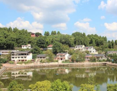 近日,记者在四川省蓬溪县常乐镇见到拱市联村党委书记蒋乙嘉时,他
