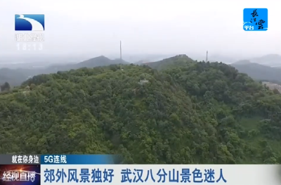 郊外风景独好 武汉八分山暮色迷人
