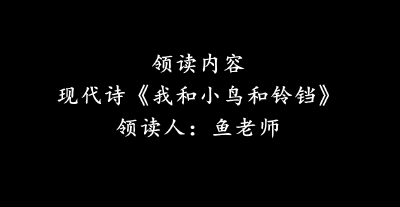 【少儿口才-开口说话】现代诗《我和小鸟和铃铛》