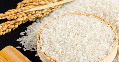 国际大米价格为何连续攀升？国内市场如何应对