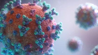 世卫组织：全球新冠肺炎确诊病例超6.1759亿例