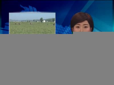 房县产业发力奔富路