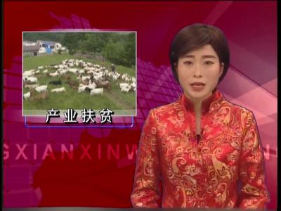 房县产业发力奔富路