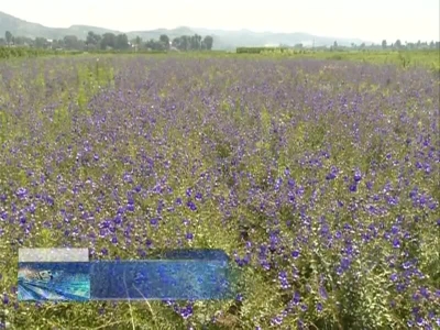 实施"五万"工程 推进精准扶贫