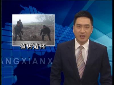 房县“早 查 督”三举措快速推进春季植树造林