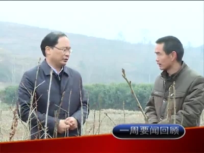 一周要闻回顾