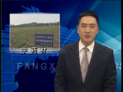 房县着力打造全省道地中药材主产地 