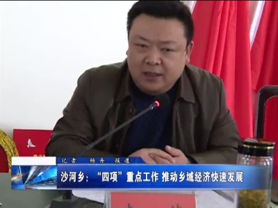 沙河乡：“四项”重点工作   推动乡域经济快速发展 