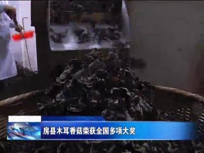 房县木耳香菇荣获全国多项大奖