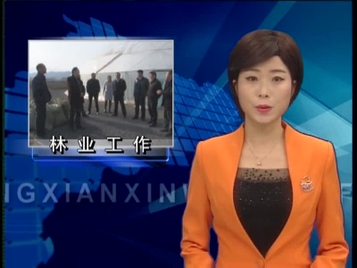 省林业厅调研房县林业重点工作 