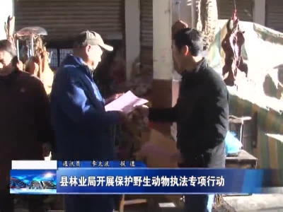 县林业局开展保护野生动物执法专项行动