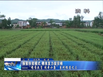 房县新闻20170201