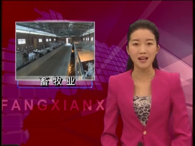 房县：打造绿色生态畜牧业 推进农业经济转型升级