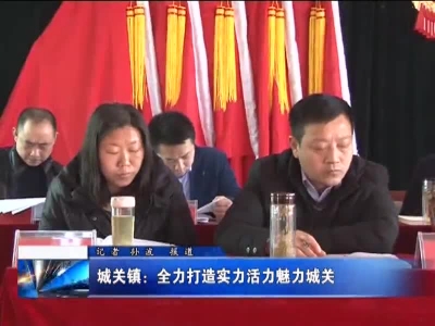 城关镇：全力打造实力活力城关 