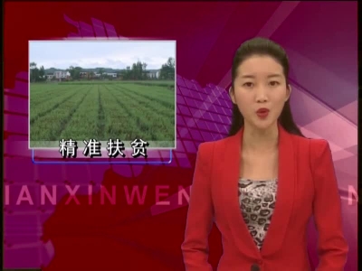 探索扶贫模式 精准发力拔穷根 