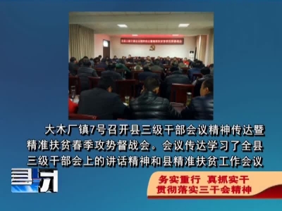 各乡镇认真贯彻落实三级干部会议精神