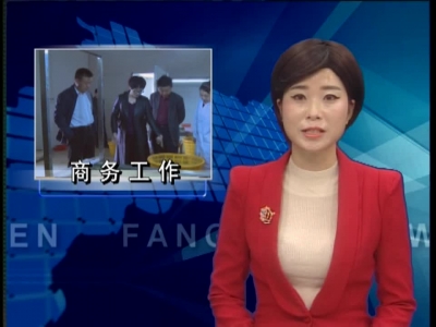 肖大有调研全县商务工作