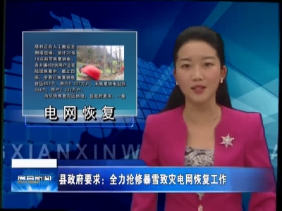 县政府要求：全力抢修暴雪致灾电网恢复工作