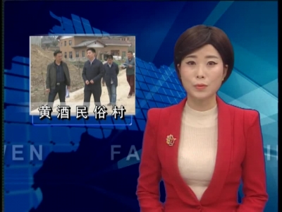 纪道清调研土城镇黄酒民俗村项目建设情况