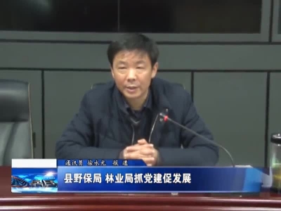 县野保局  林业局抓党建促发展